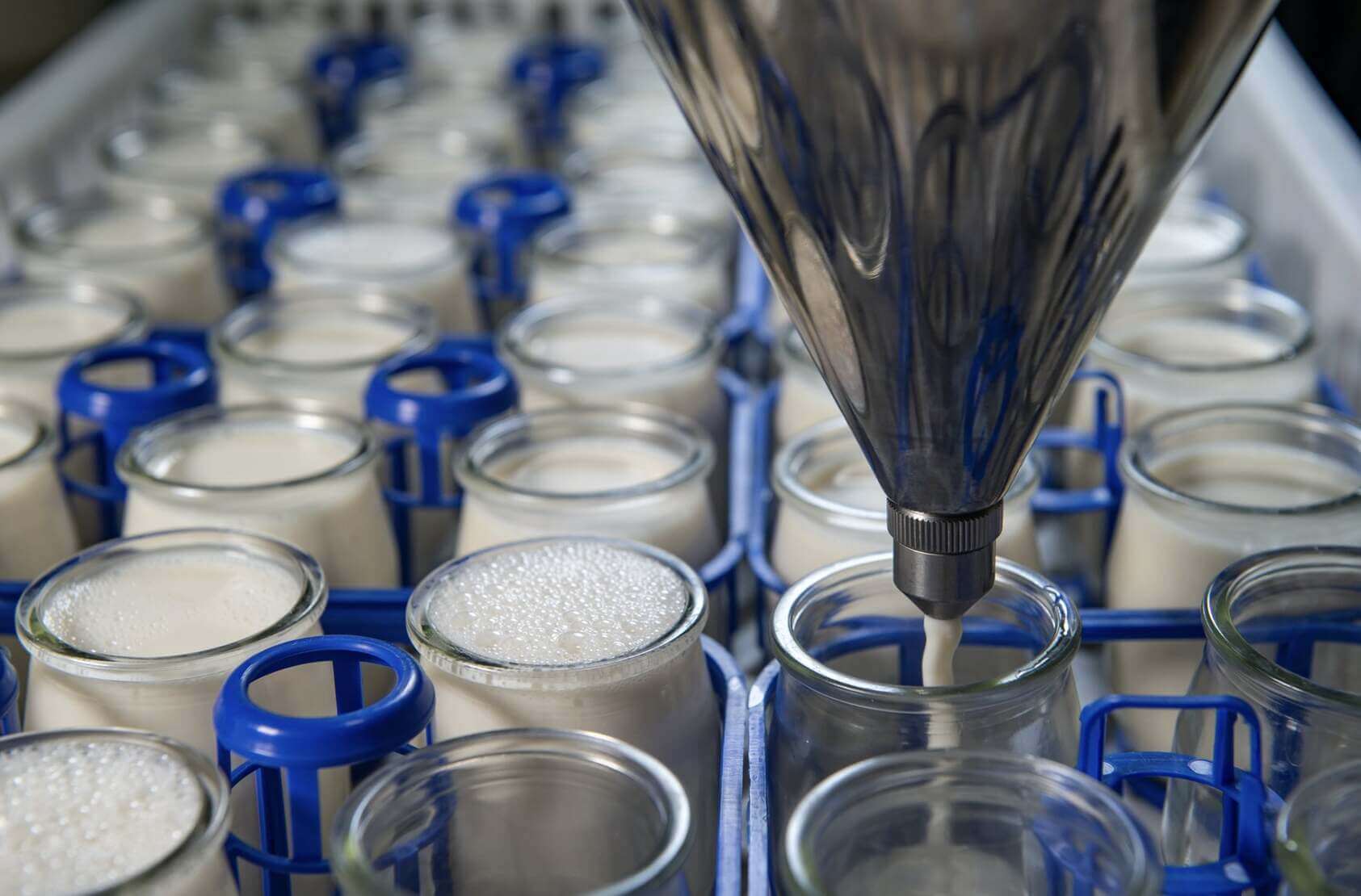 Developments in Dairy Trading