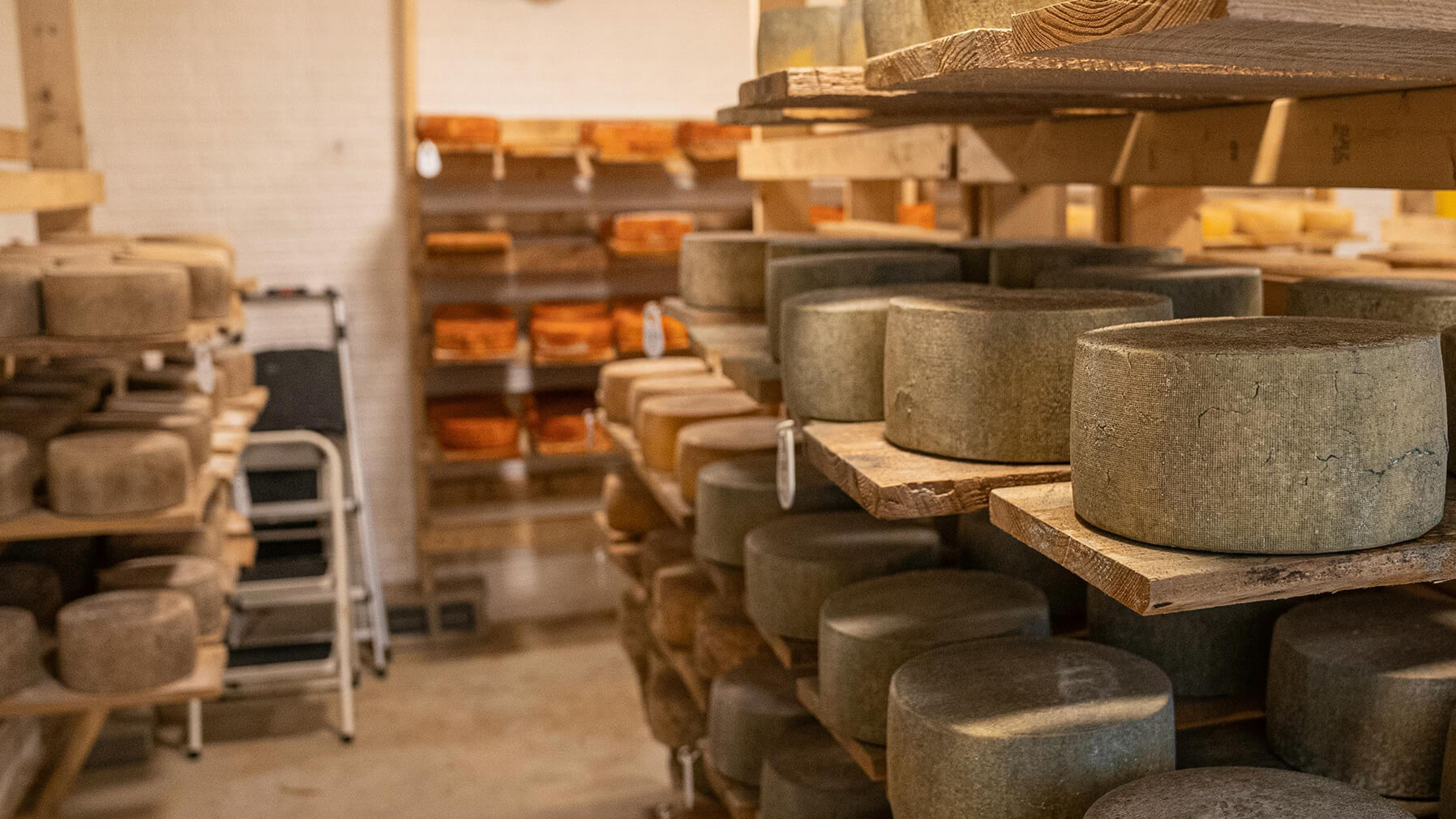 Cheese Exports Boom Amid Shifting Global Demand