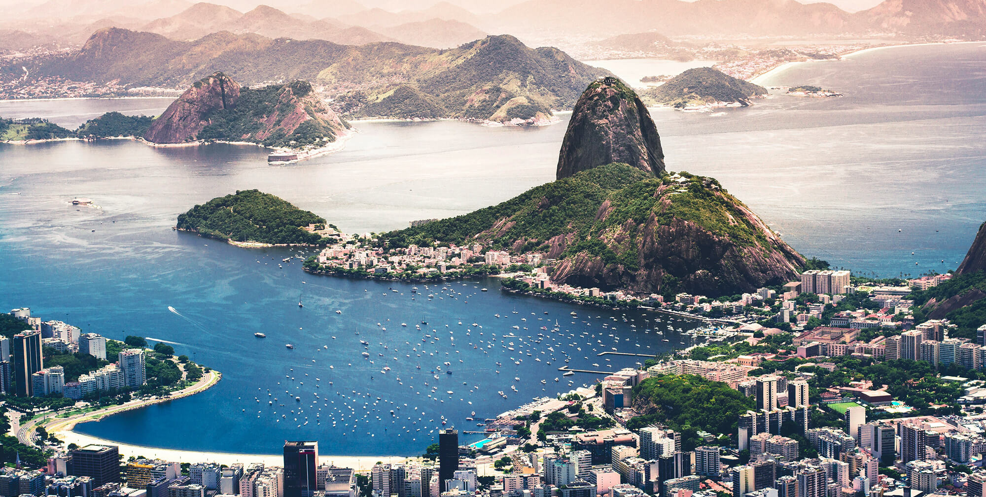 Brazil’s Dairy Exports Surge Amid Global Demand