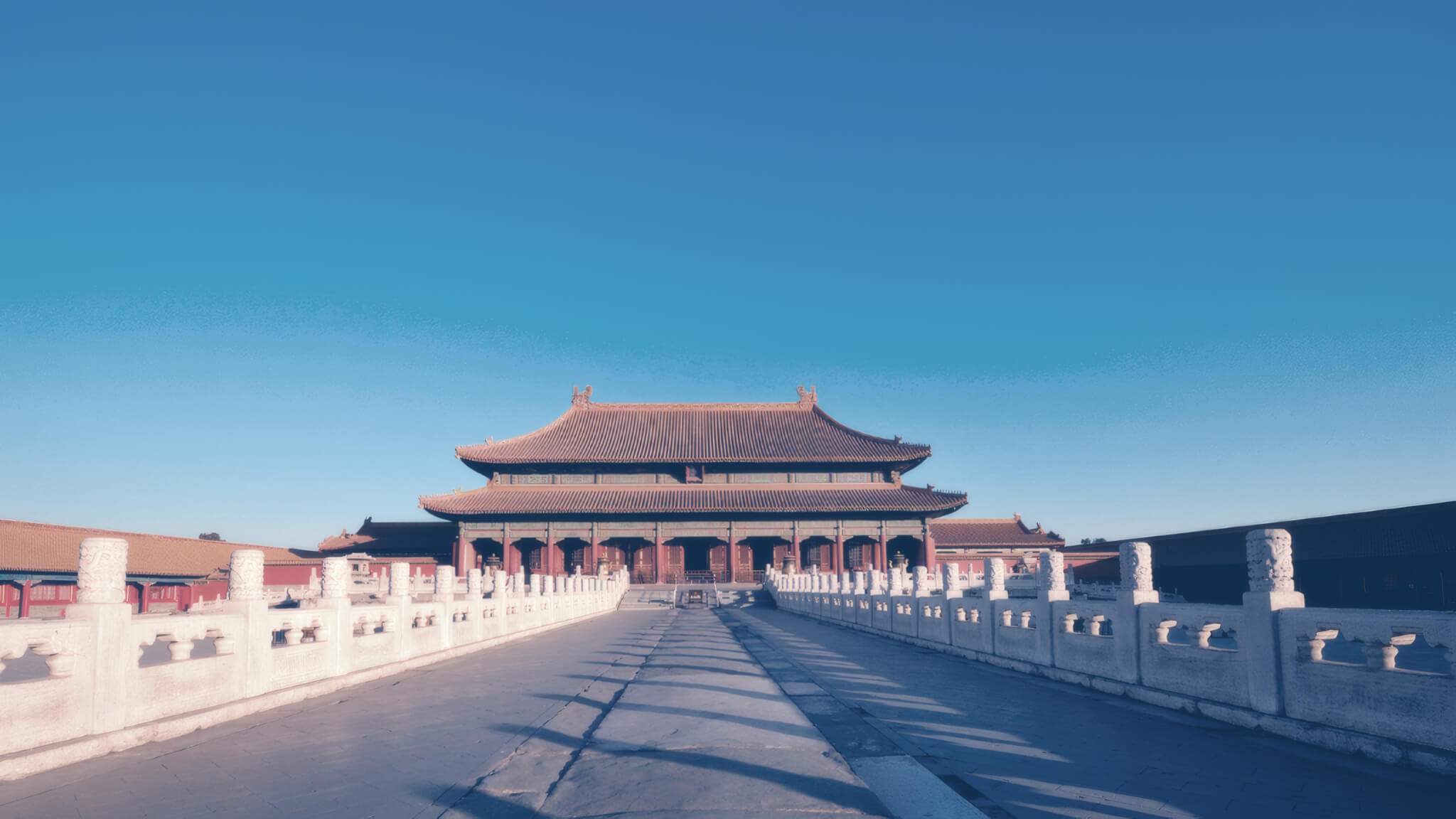 China’s Dairy Market Faces Oversupply and Slowing Demand