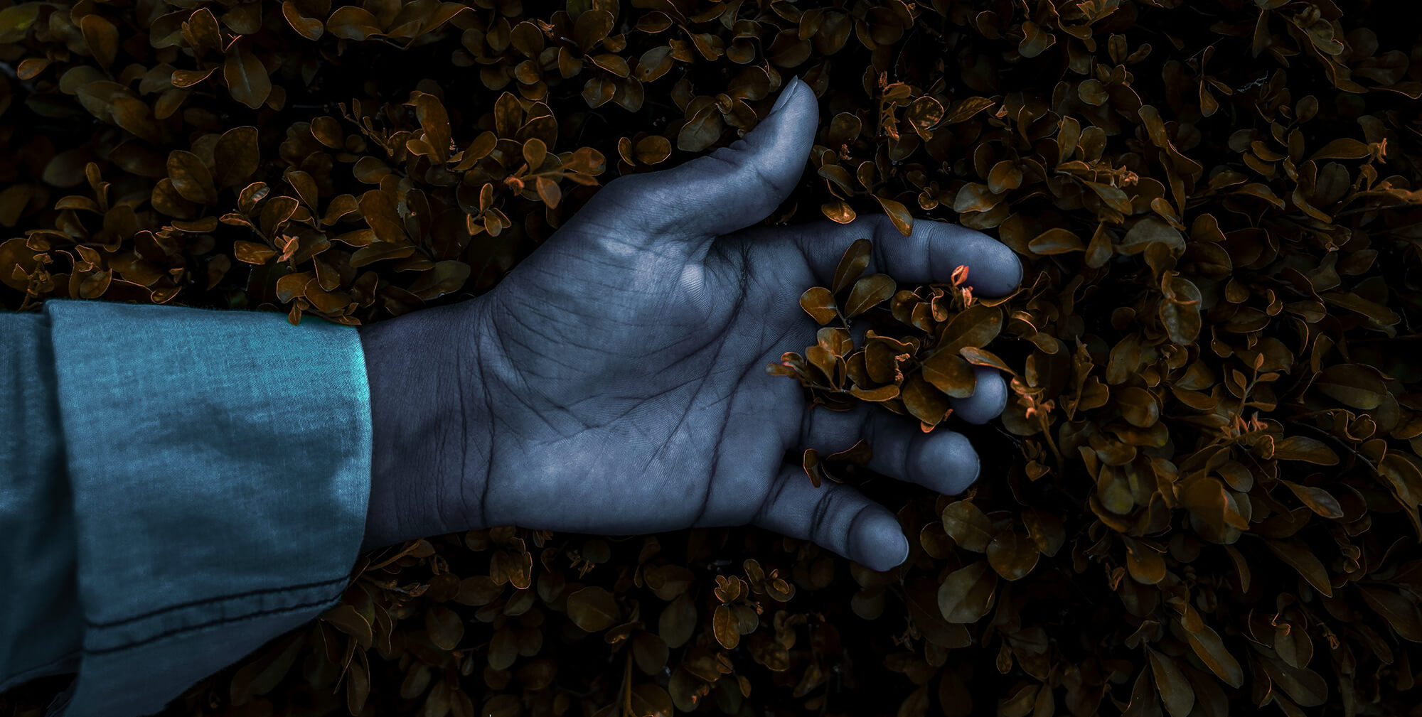 Colombia’s Cocoa Exports Face Labor Shortages in 2025