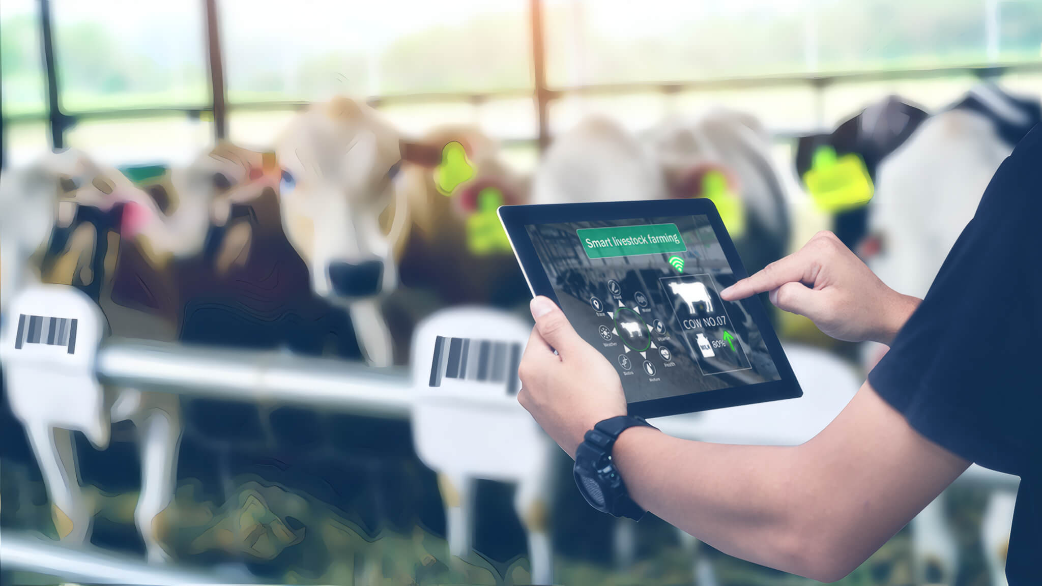 Dairy Industry Adapts to Supply Chain Disruptions with Technology