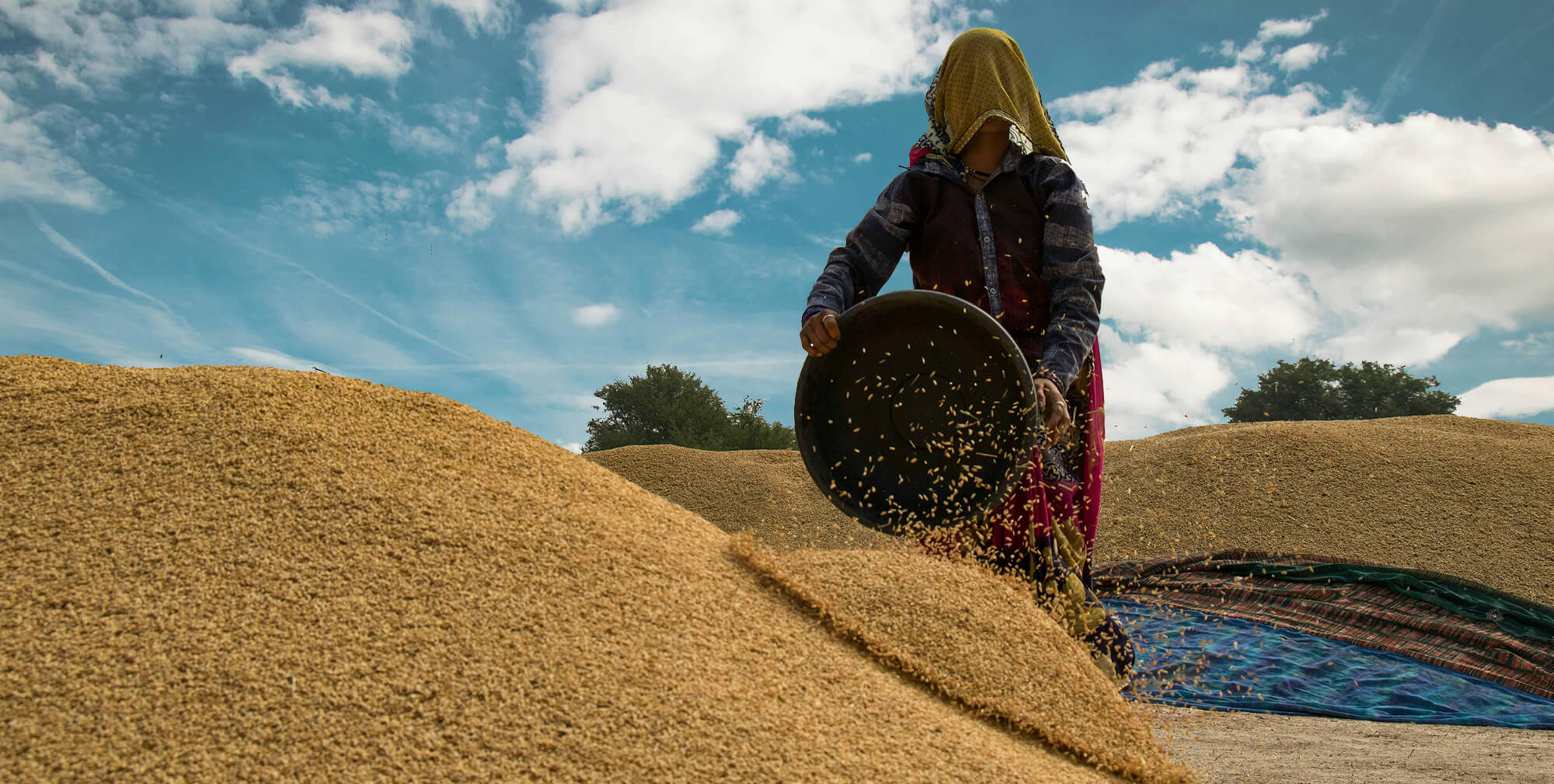 Grain Markets See Opportunity in Latin America’s Rising Demand