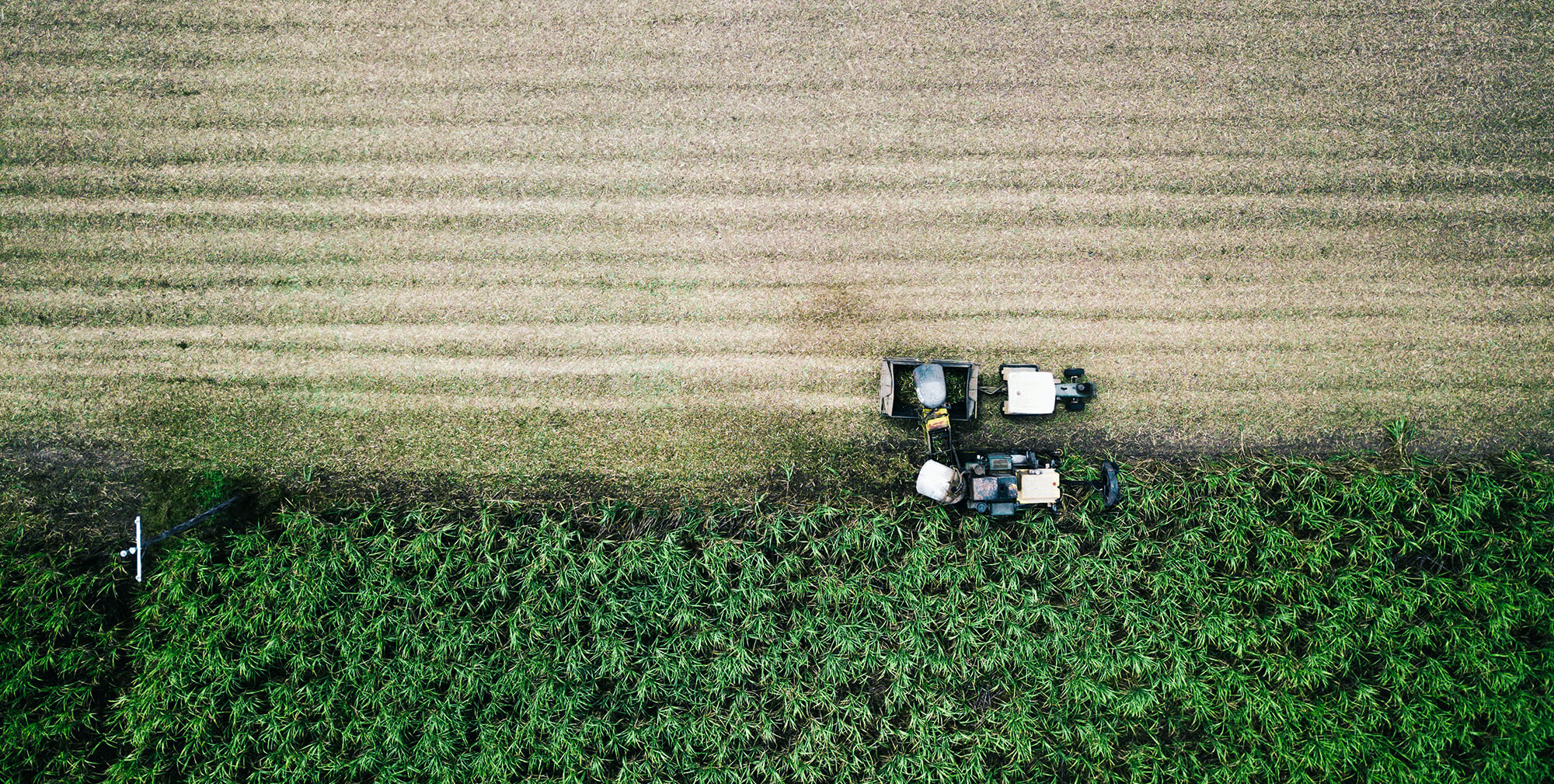 U.S. Sugar Tariffs Spark Sweetener Price Hikes