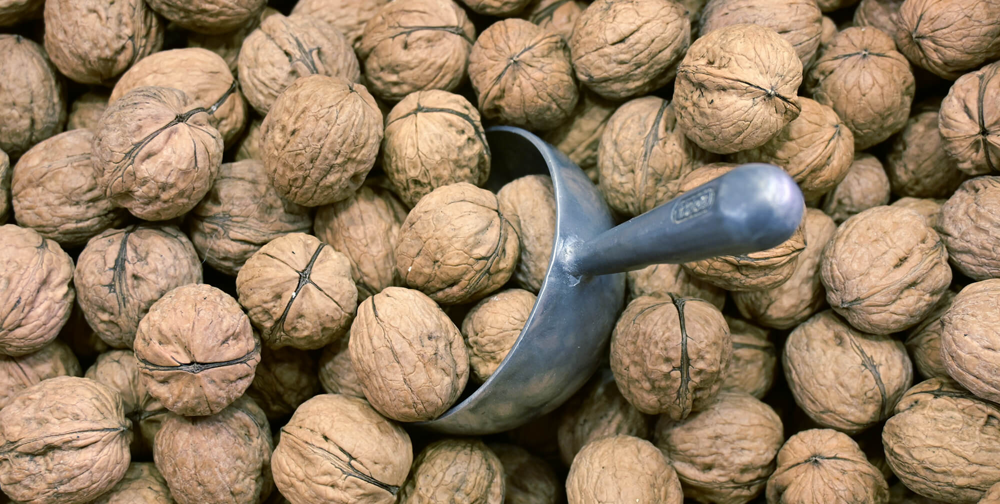 Walnut Prices Spike as U.S. Harvests Falt